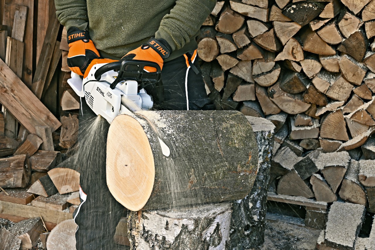 Como fazer um hotel de insetos: uma motosserra elétrica STIHL MS 151 C a ser utilizada para cortar a rodela de um toro