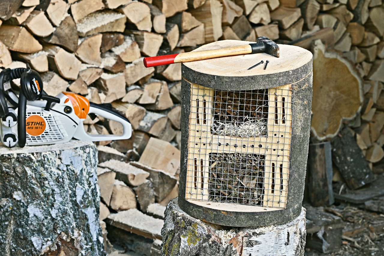 Como fazer um hotel de insetos: um martelo sobre um hotel para insetos acabado com uma STIHL MS 151 C ao lado