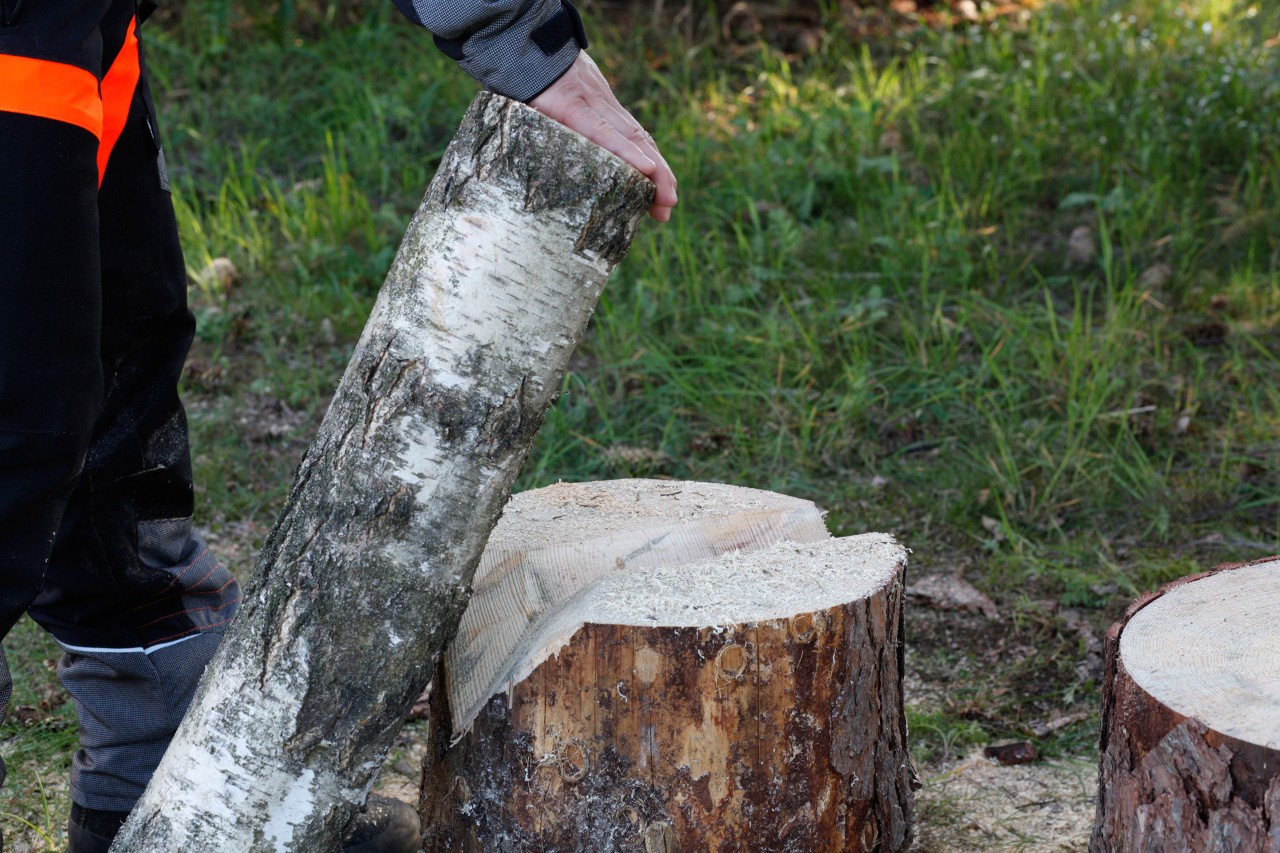 Castiçais de bricolage em madeira: um toro a ser colocado num entalhe em V num cepo