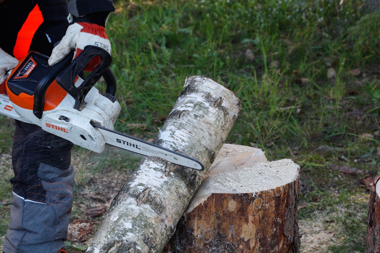 Castiçais de bricolage em madeira: uma motosserra STIHL MSA 140 C a ser usada para marcar à volta de um toro fino