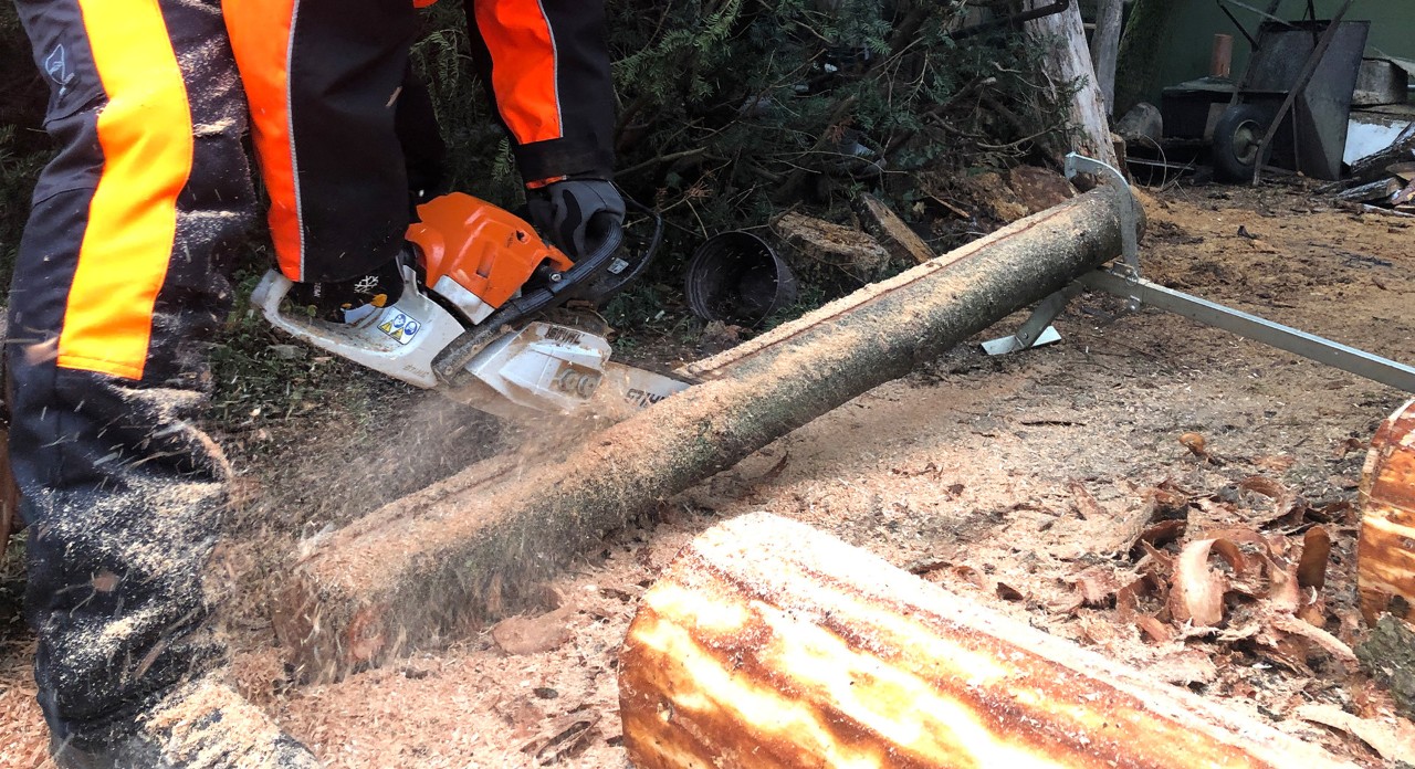 Construir canteiro elevado a partir de toros: um toro é cortado por homem com motosserra a gasolina STIHL MS 170
