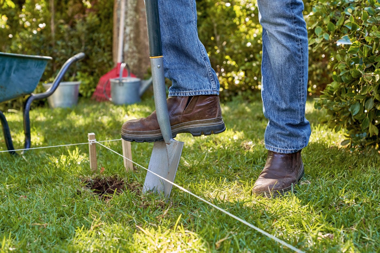 Construir um canteiro elevado com tábuas: tapete de relva a ser cortado e levantado com uma pá de plantio