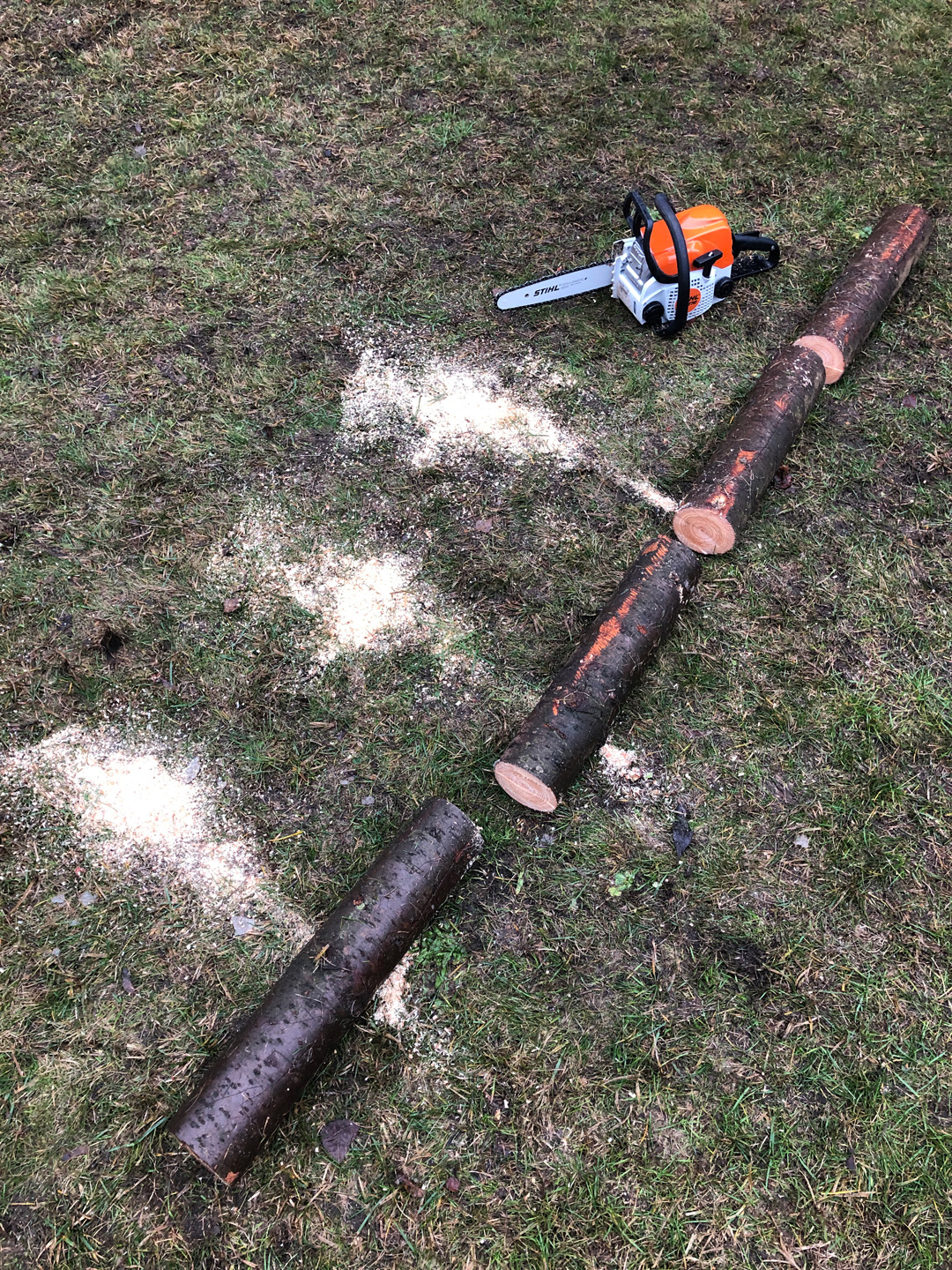 Construir canteiro elevado a partir de toros: tronco a ser cortado com motosserra a gasolina STIHL MS 170