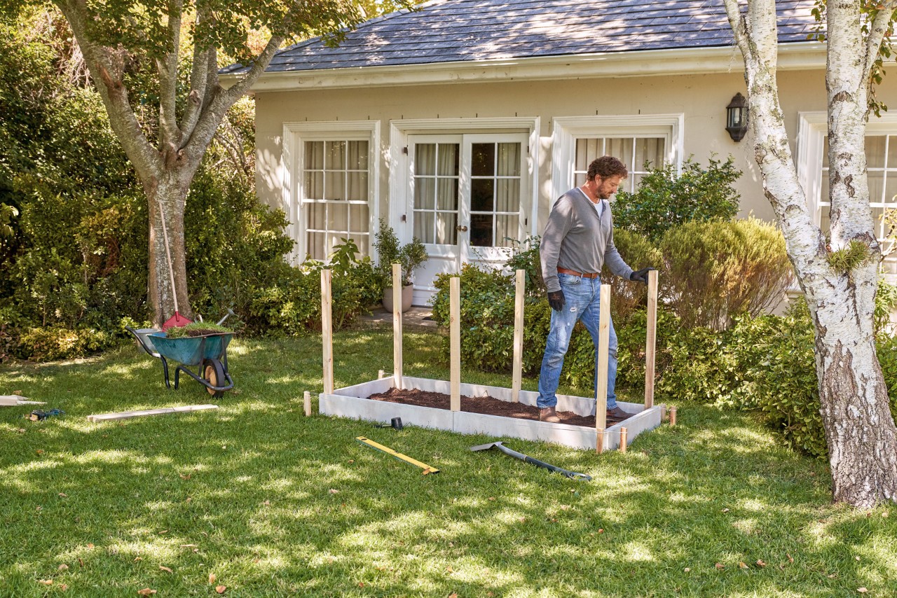 Construir canteiros de jardim elevados em madeira a partir de tábuas: um homem em pé entre os postes verticais 