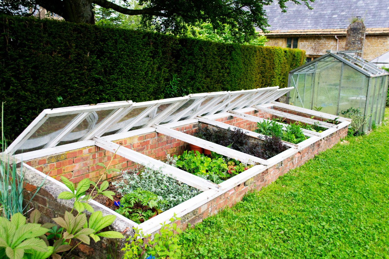Estufa de jardinagem construída num canto do jardim