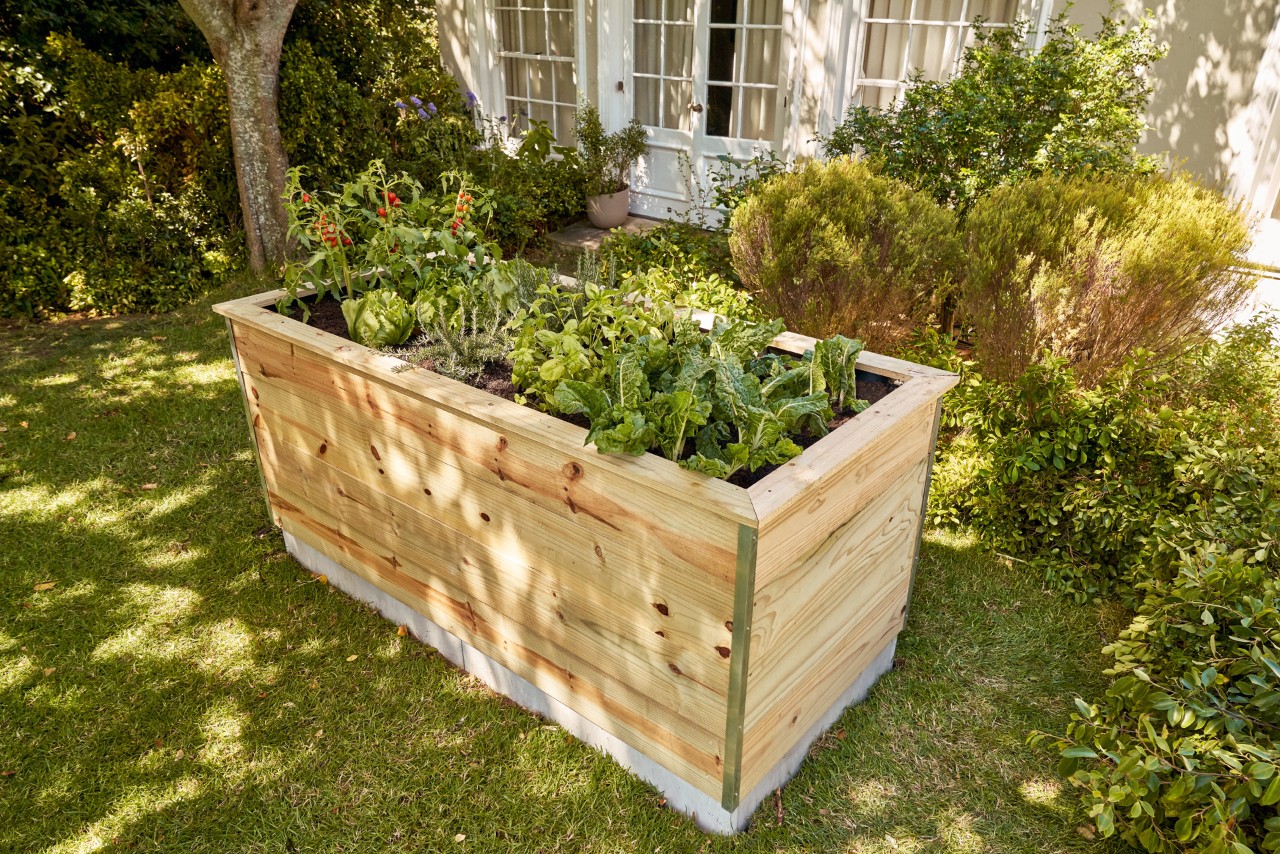 Canteiro elevado de bricolage num jardim