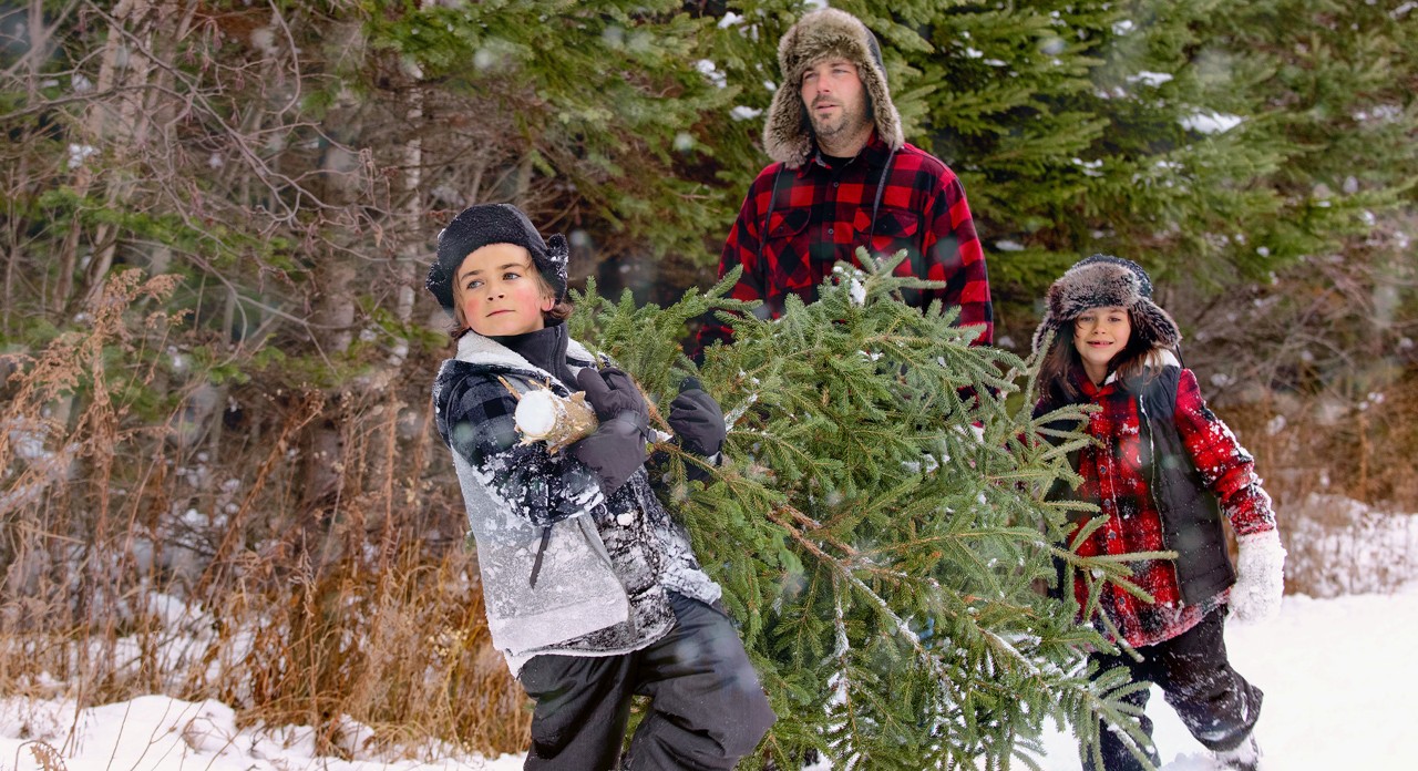 Father carrying a Christmas tree with his two children