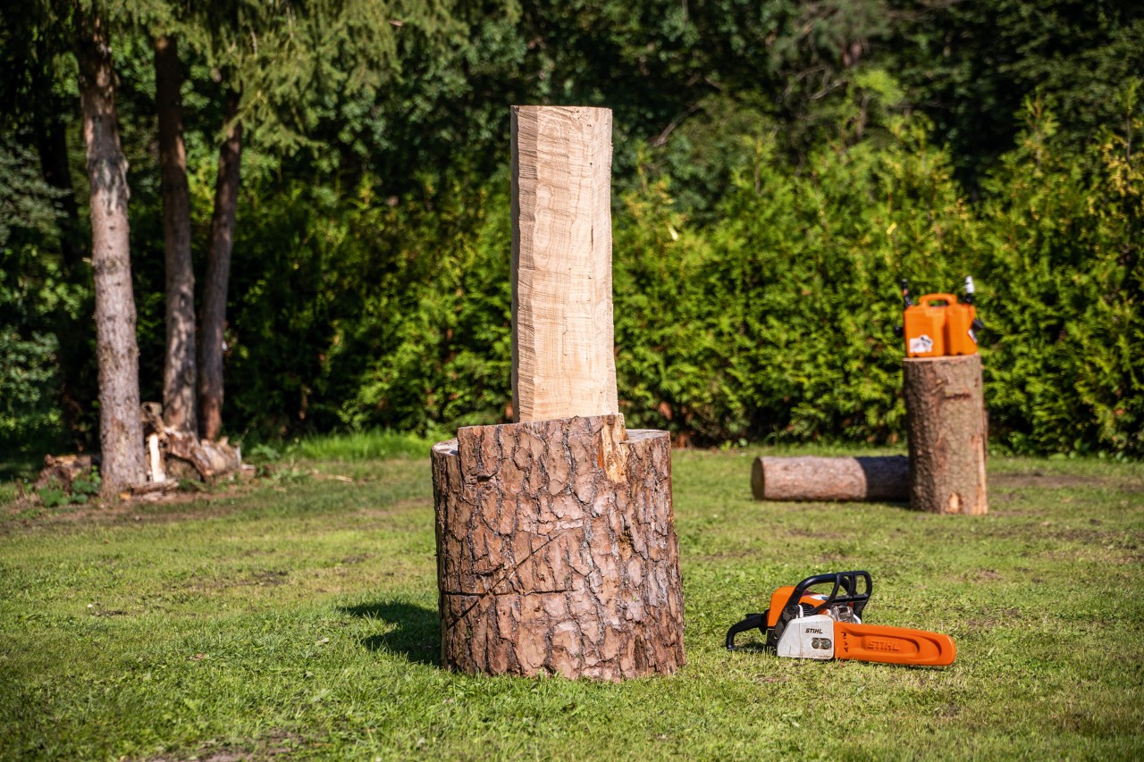 Um toro descascado numa base, com uma motosserra STIHL no chão, ao lado.