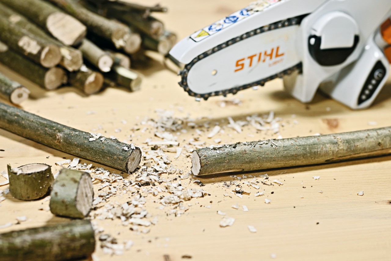 Ramo para decoração de interiores depois de serrado com uma minipodadora de corrente a bateria STIHL GTA 26