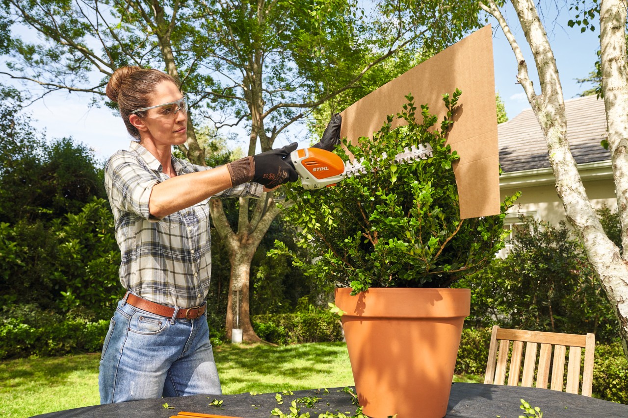 Uma mulher corta o buxo com a minipodadora a bateria STIHL HSA 26 recorrendo a um molde de cartão em forma de bola